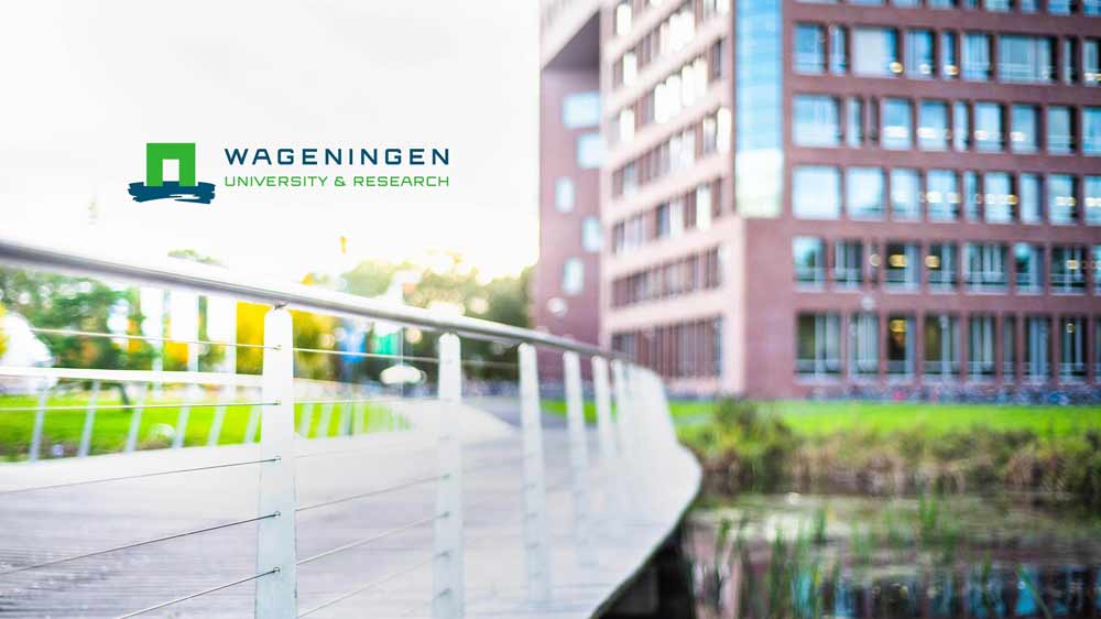 جامعة فاجينينغين ومركز البحث العلمي - أفضل جامعة في هولندا