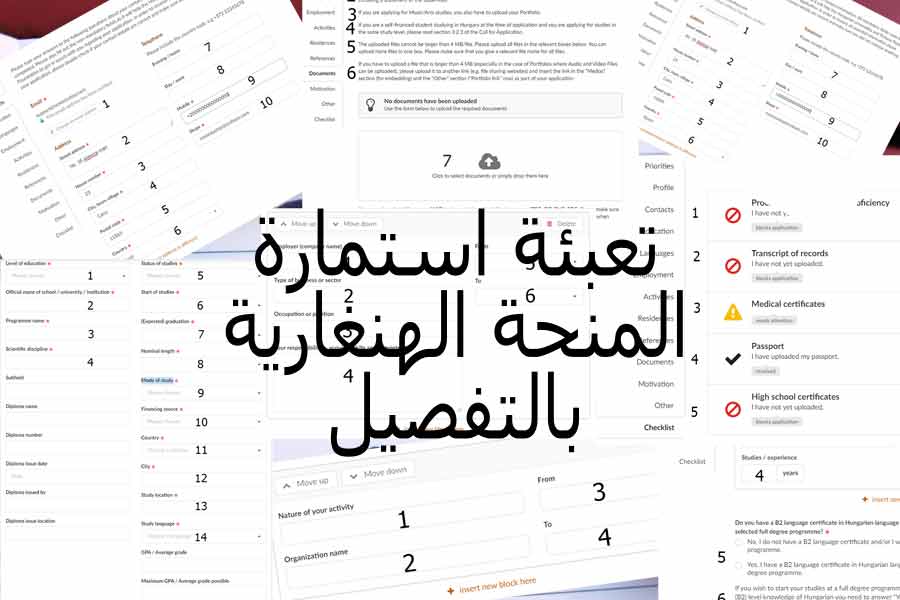 تعبئة استمارة المنحة الهنغارية